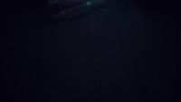 a blurry photo of a person skiing in the dark