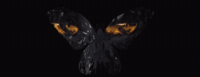 a close up of an animal's face with yellow eyes