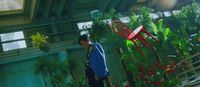 a man standing in front of a bunch of plants