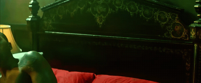 a dog laying on a bed in a bedroom