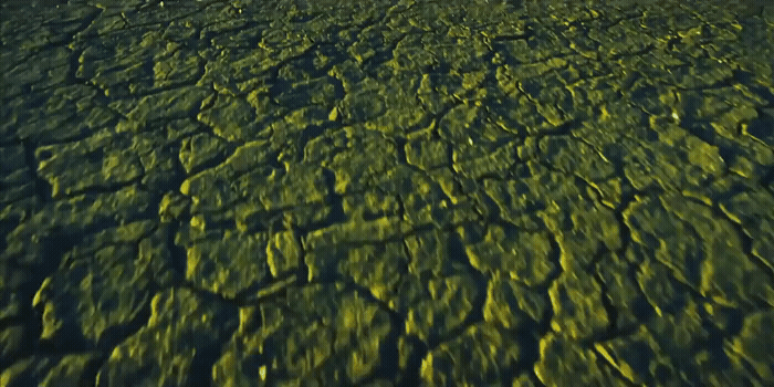 a large body of water surrounded by land