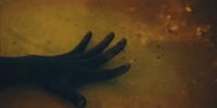 a person's hand on the ground with dirt on it
