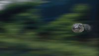 a blurry photo of a bird flying through the air