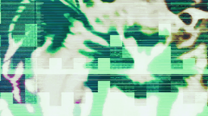 a picture of a green and white flower