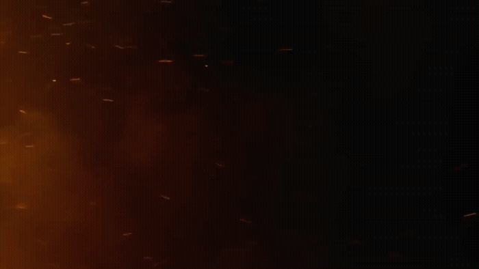 a group of birds flying in the night sky