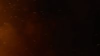 a group of birds flying in the night sky