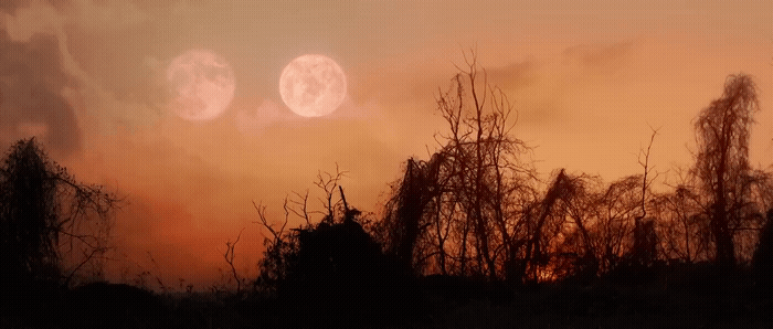 a full moon is seen in the sky above trees