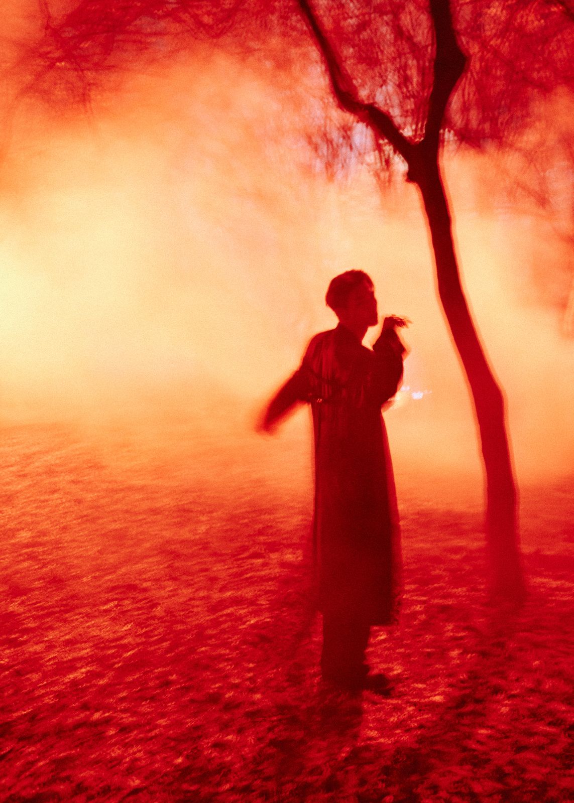 a person standing in a field next to a tree