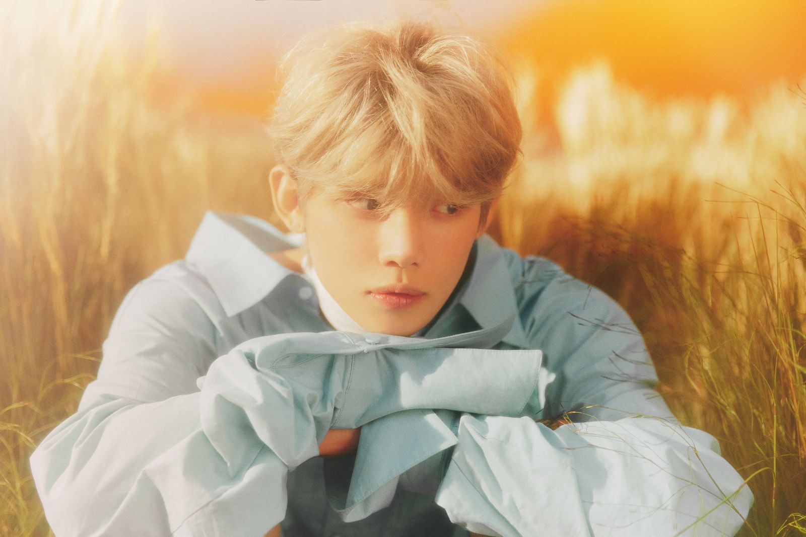 a boy in a blue shirt sitting in a field