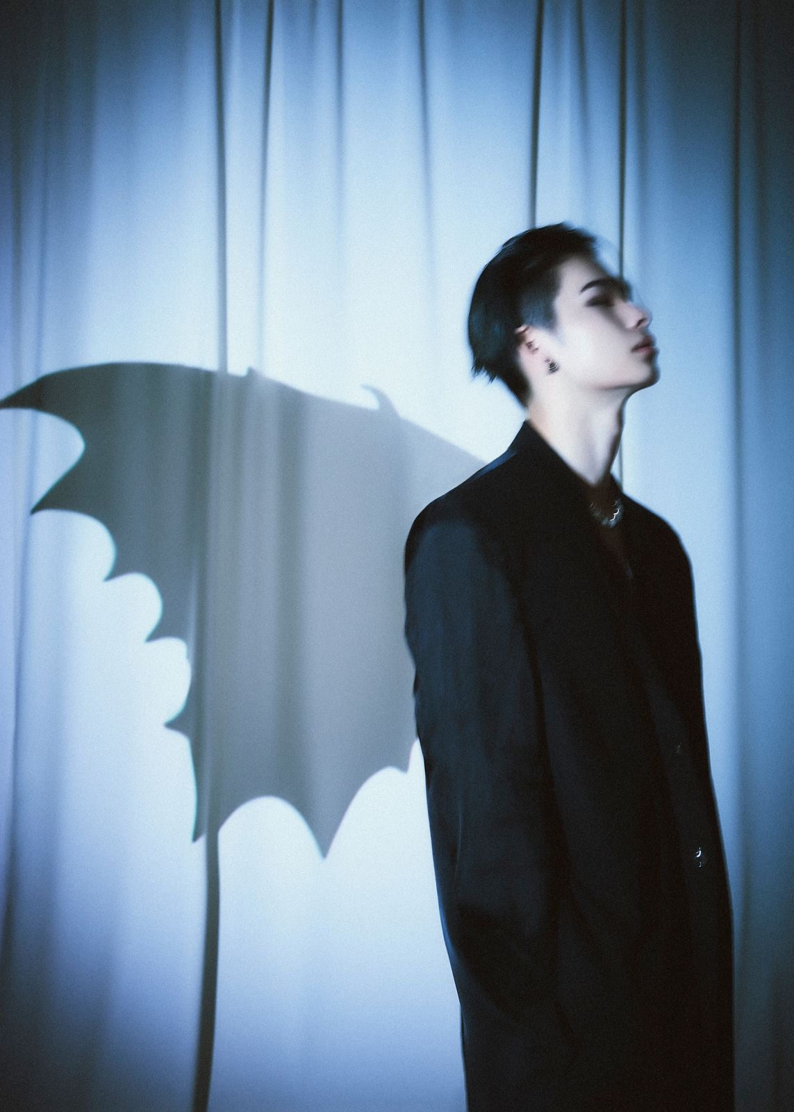 a man standing in front of a curtain with a shadow of a bat on it