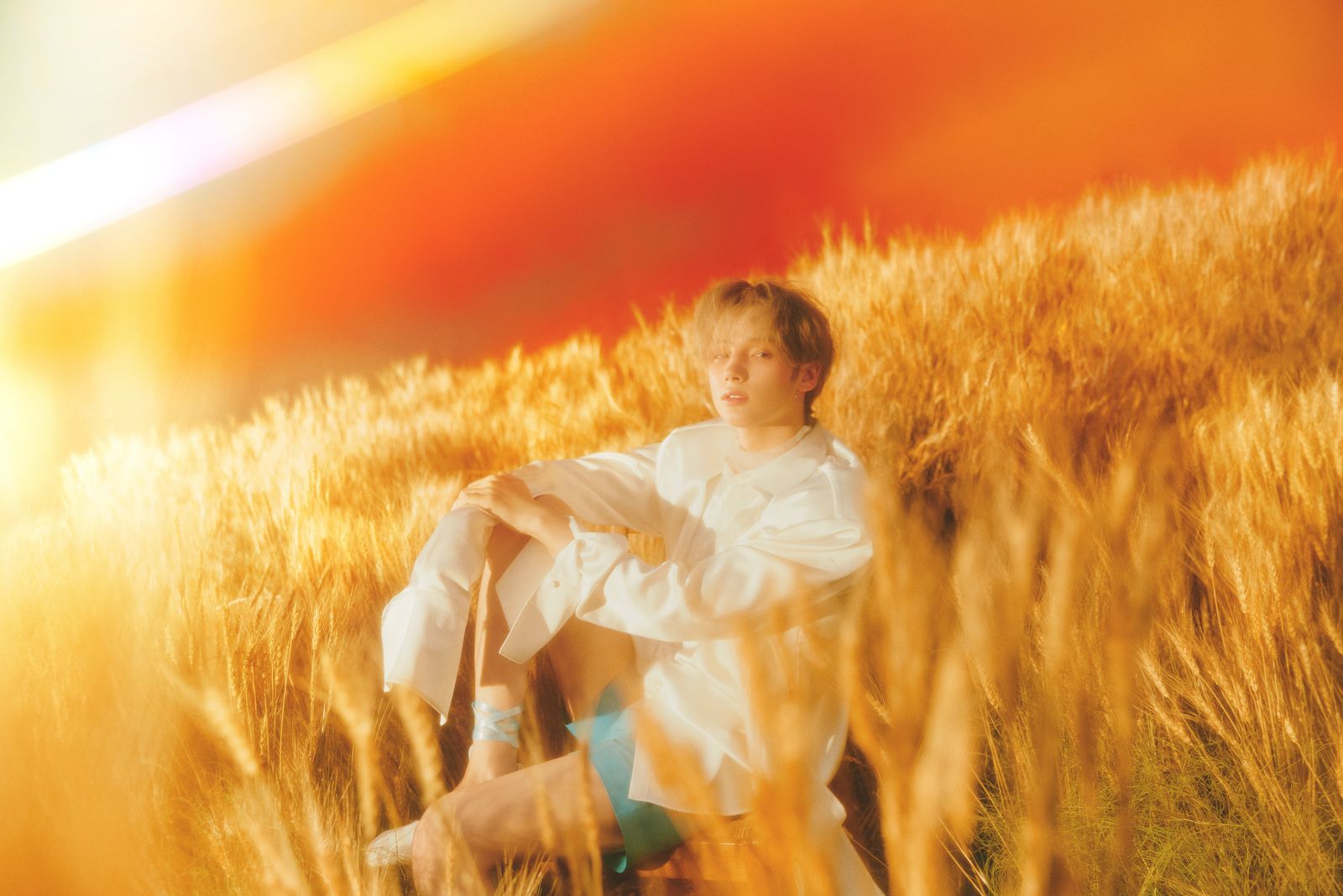 a young man sitting in a field of wheat