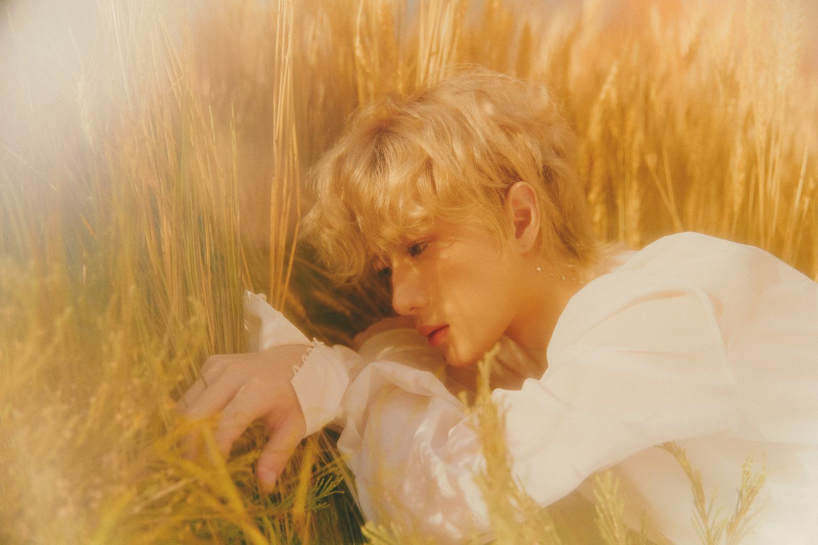 a woman sitting in a field of wheat