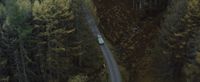 an aerial view of a road in the middle of a forest