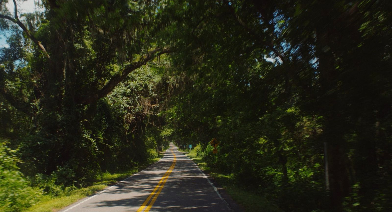 a car driving down a tree lined road