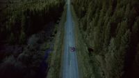 a car driving down a road surrounded by trees