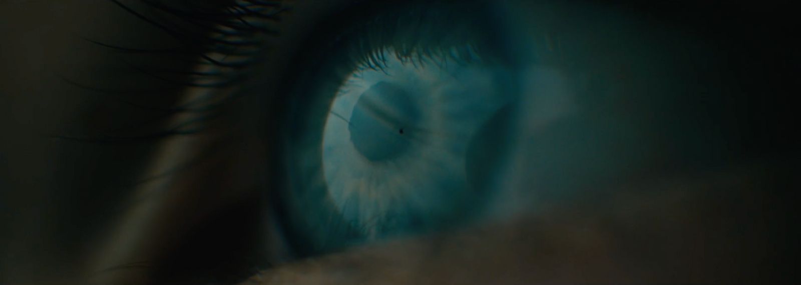 a close up of a person's blue eye