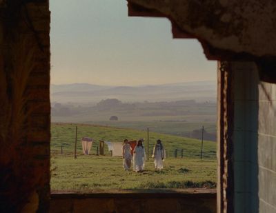 a couple of people that are standing in the grass