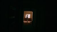 a person standing in a doorway at night