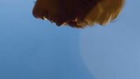 a blurry photo of a person's face against a blue sky