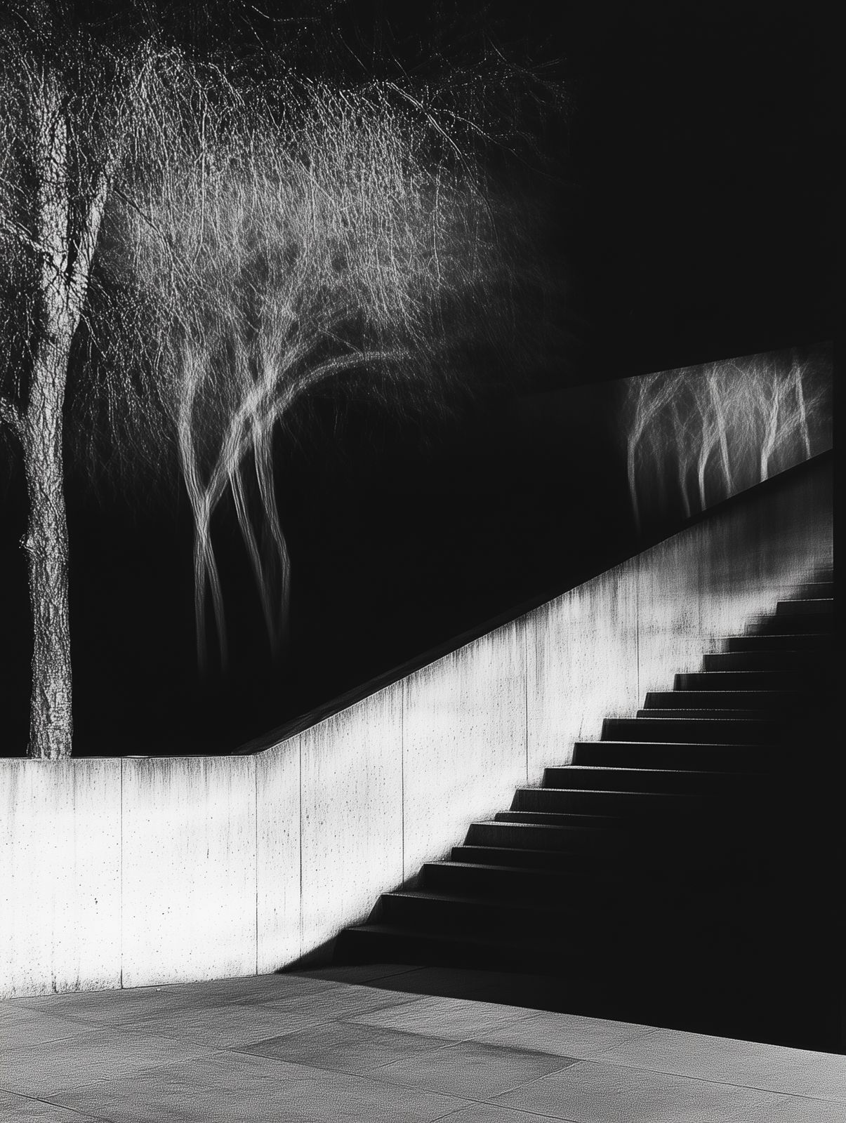 a black and white photo of a tree and stairs