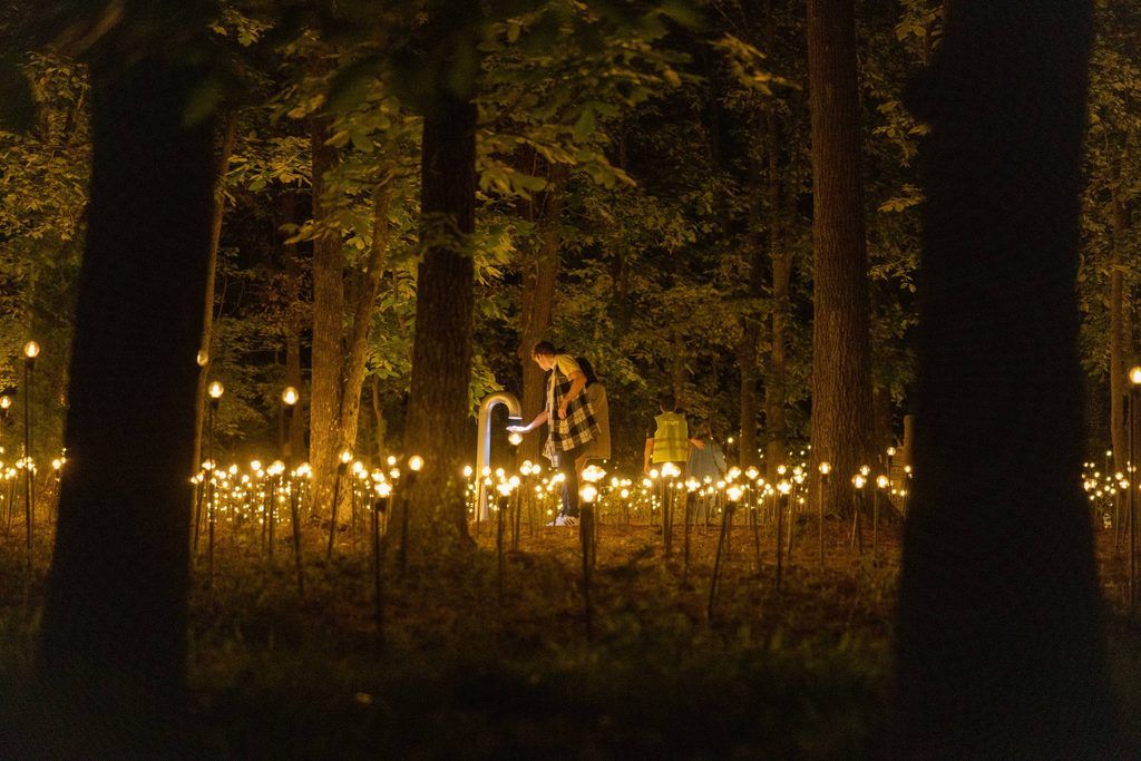 a couple of people standing in the middle of a forest