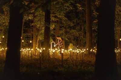 a couple of people standing in the middle of a forest