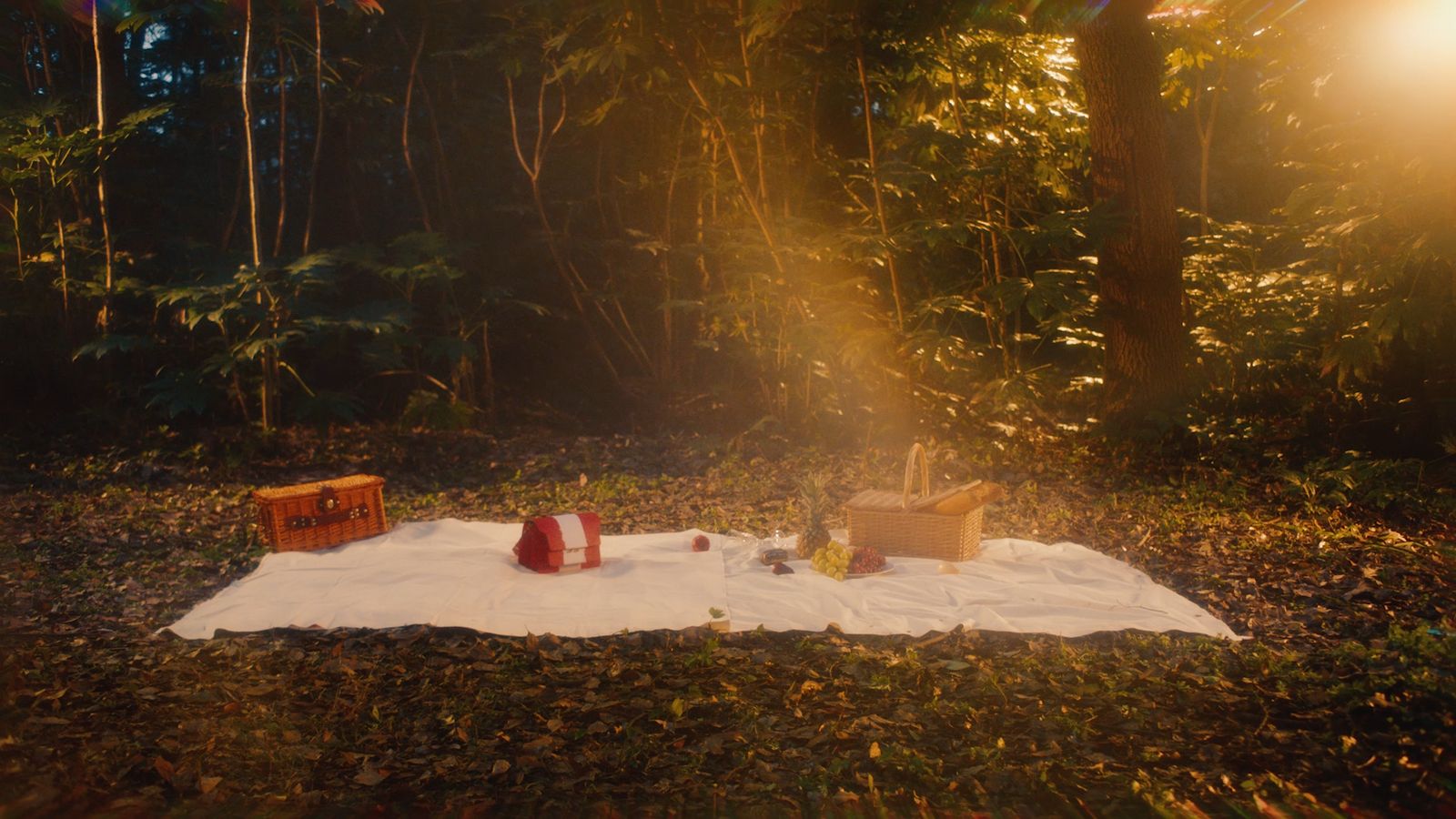 a picnic in the middle of a forest