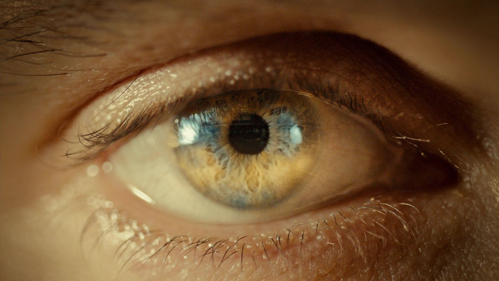 a close up of a person's blue eye