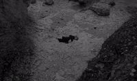 a black and white photo of a dog in a rocky area