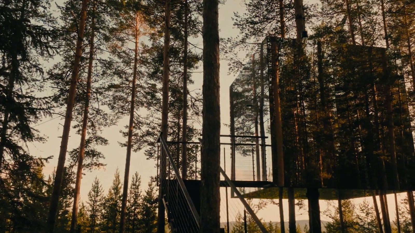 a tall tower in the middle of a forest