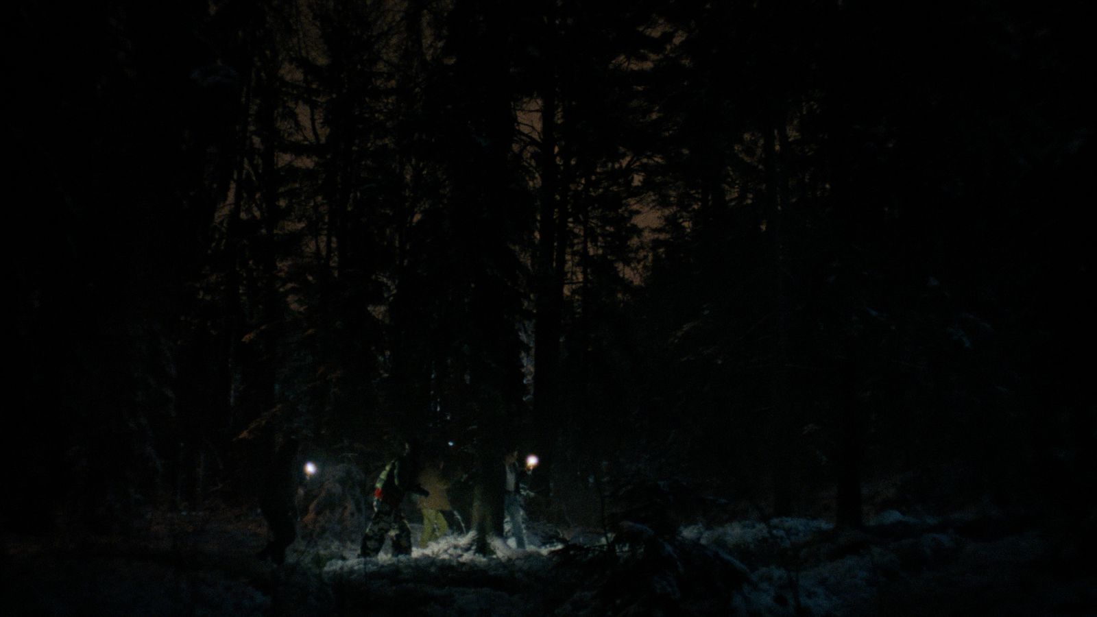 a group of people walking through a forest at night