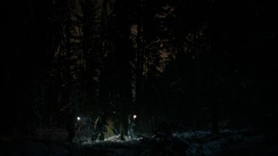 a group of people walking through a forest at night