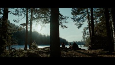 a group of people sitting in the middle of a forest