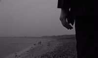 a person standing on a beach with a kite in the air