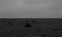 a black and white photo of a field