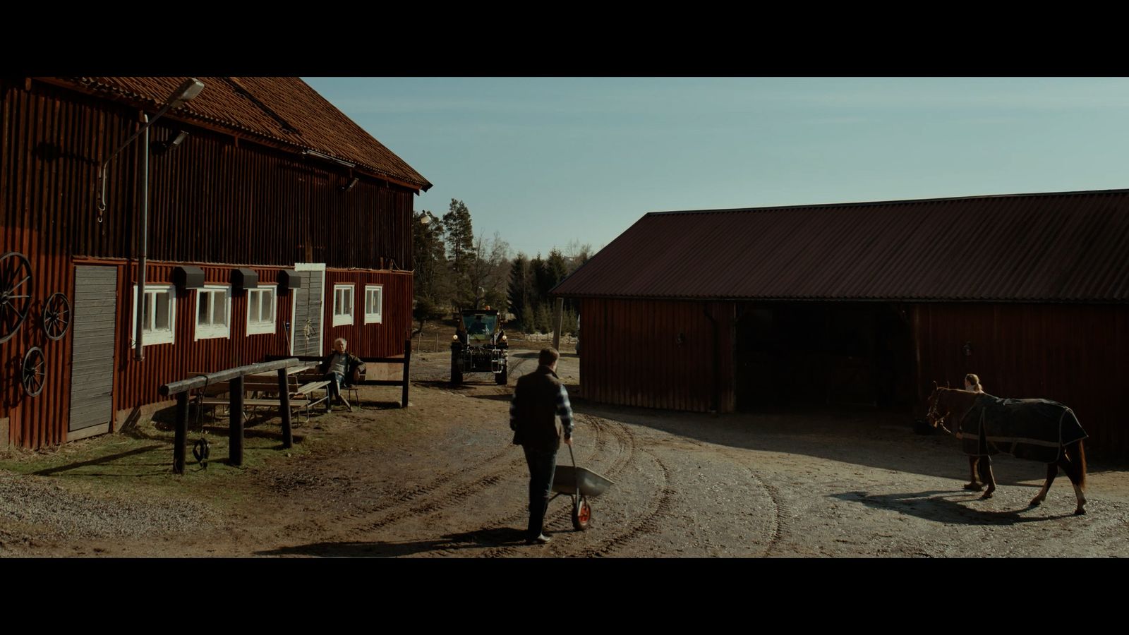 a person walking a horse down a dirt road