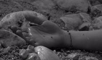 a close up of a person's hand on rocks