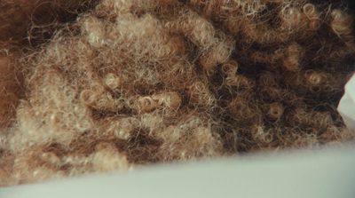 a close up of a pile of brown hair