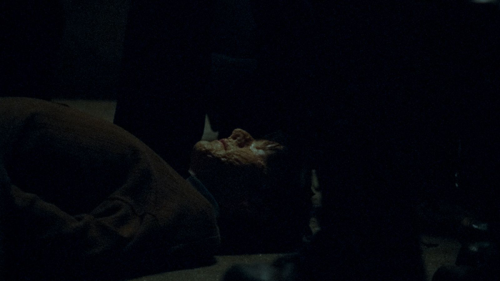 a dark room with a cat laying on the floor