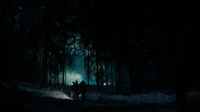 a group of people standing in a forest at night