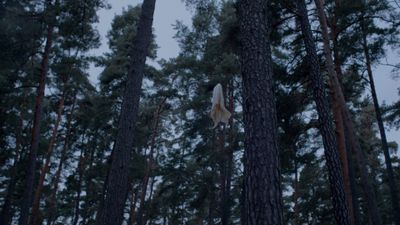 a dead animal hanging from a tree in a forest