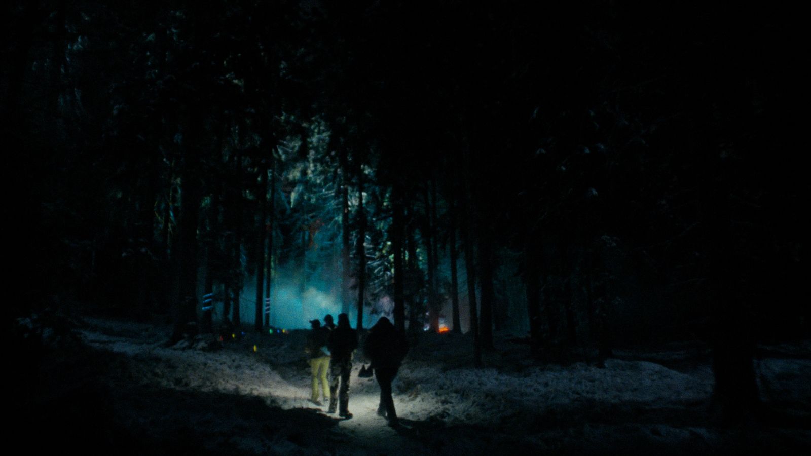 a group of people walking through a forest at night