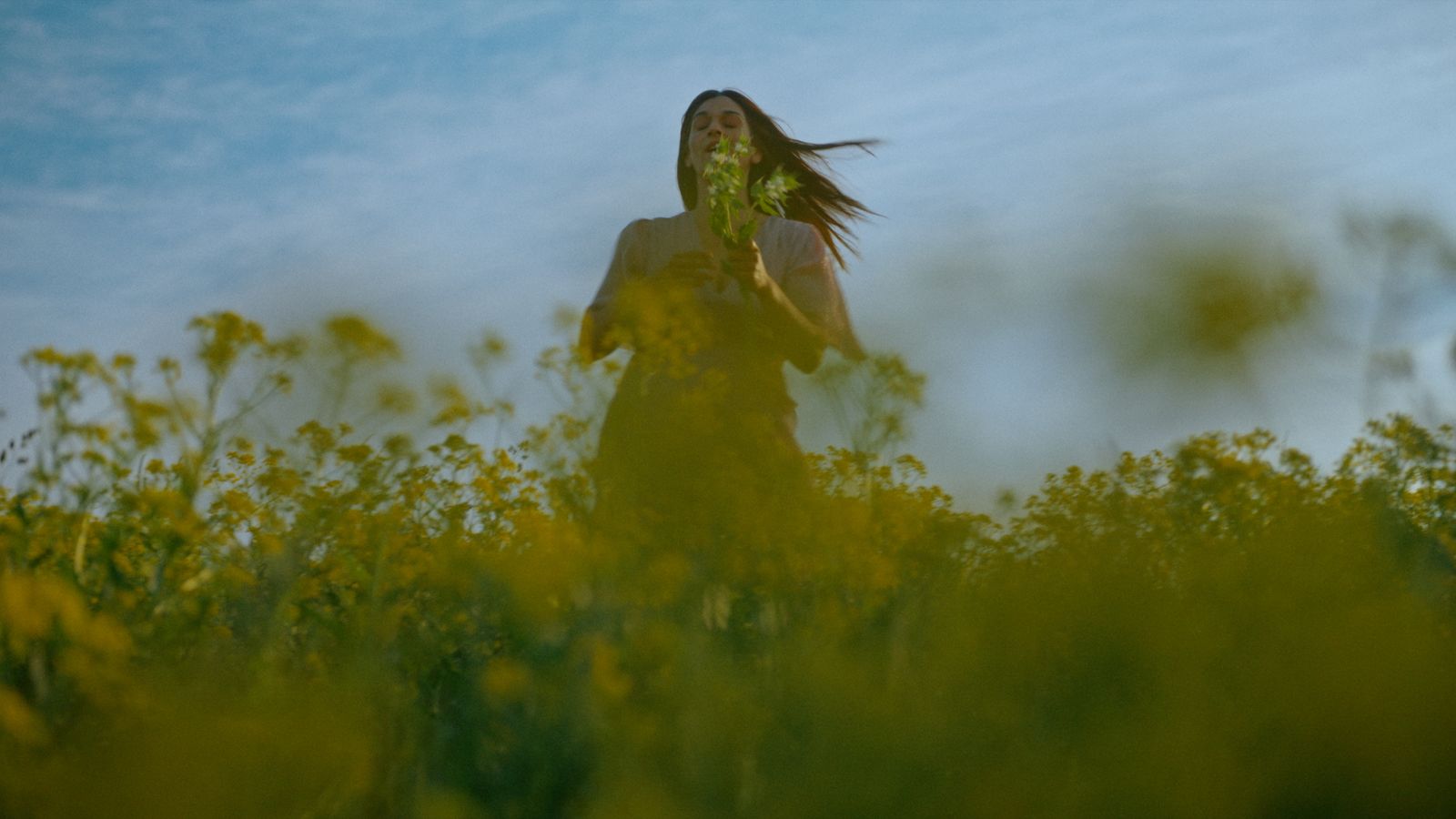 a woman standing in a field of yellow flowers