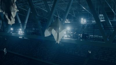 a bat hanging from a ceiling in a dark room