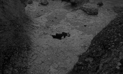 a black and white photo of a dog on the ground