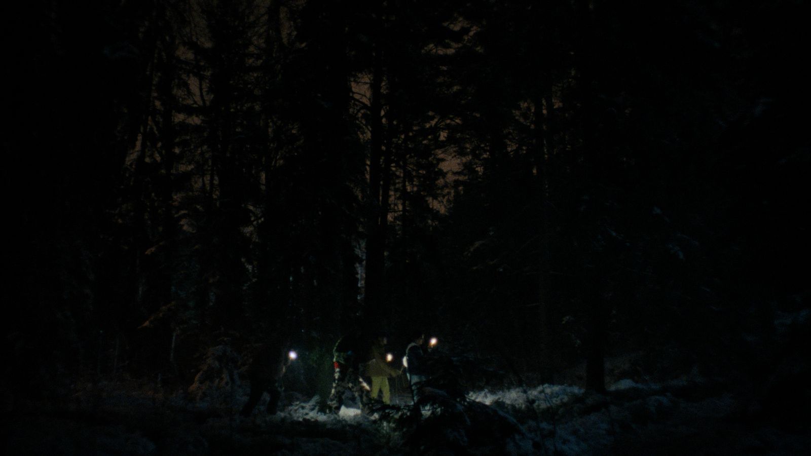 a group of people standing in the woods at night