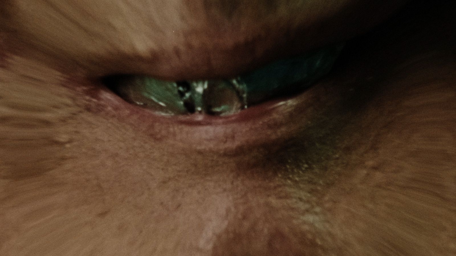 a close up of a person's eye with a blurry background