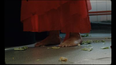 a close up of a person's feet with petals on the ground