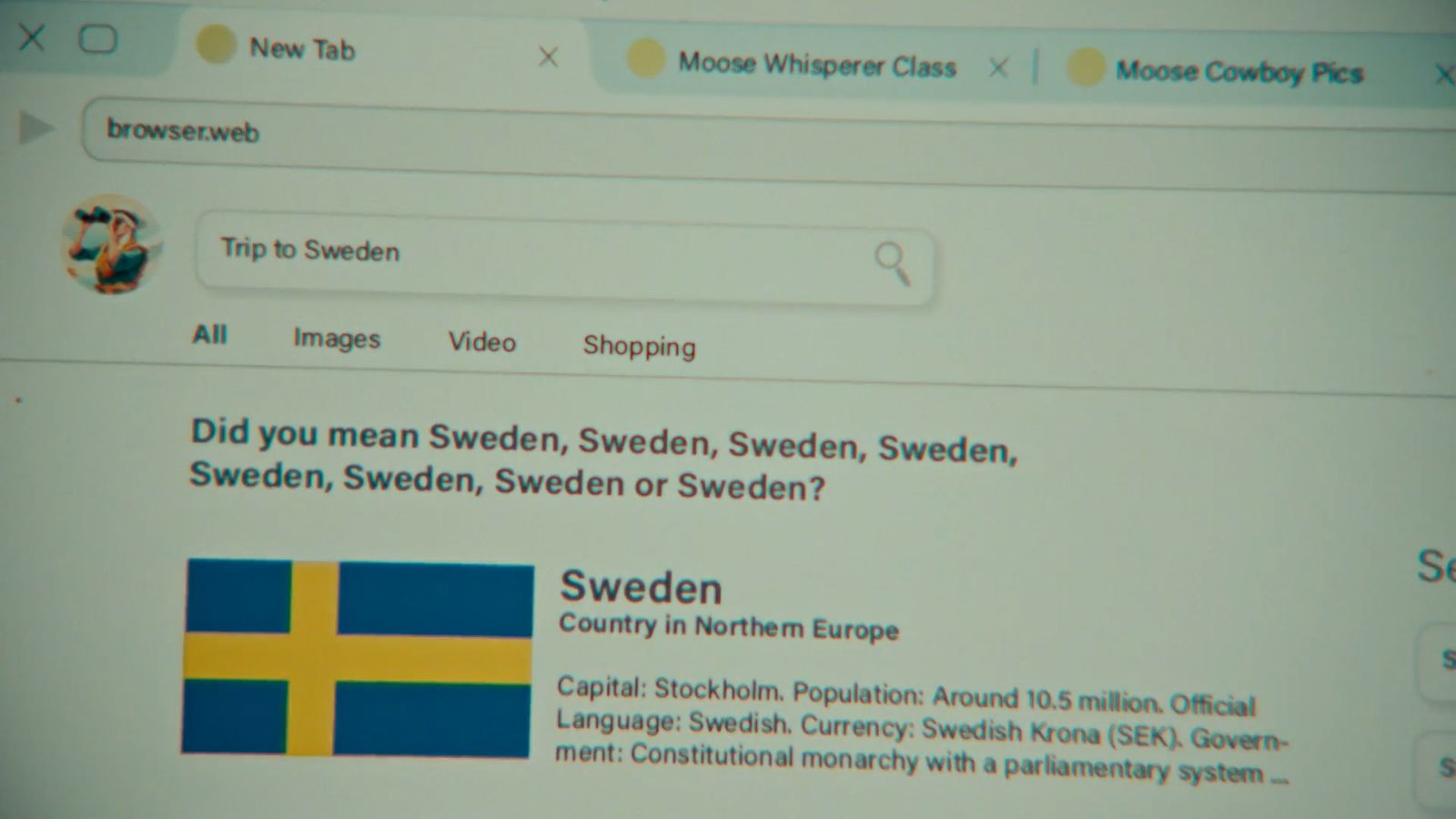 a screen shot of a web page with a flag