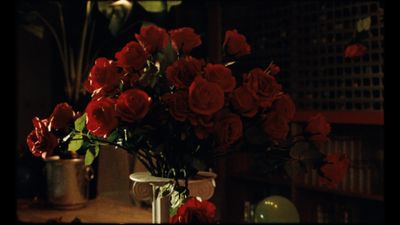 a vase filled with red roses sitting on top of a table